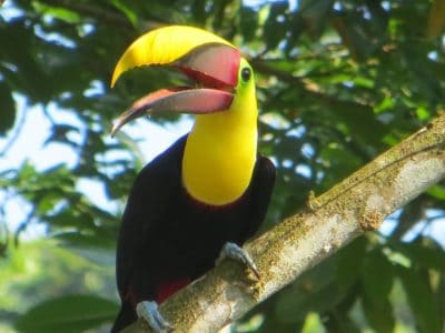 bezienswaardigheden Nicaragua