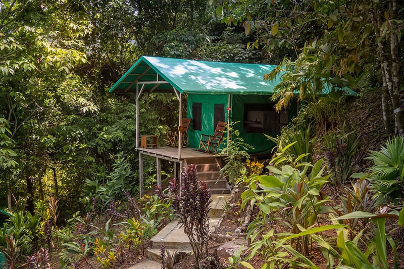 luna lodge tent