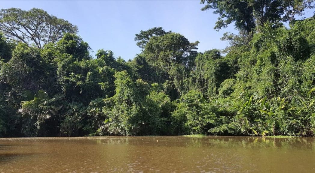 Tortuguero kanalen