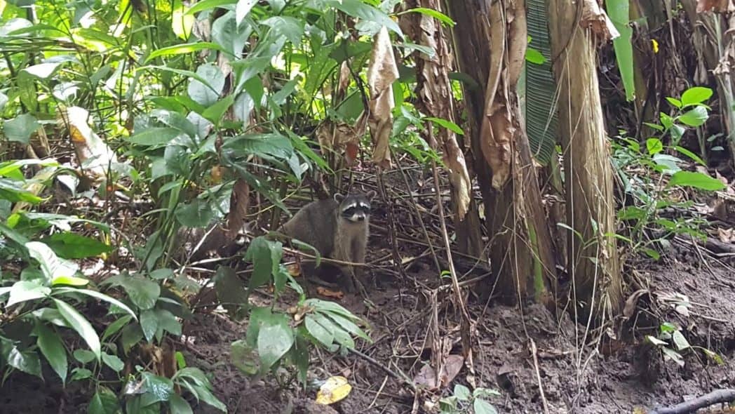 reisverslag costa rica