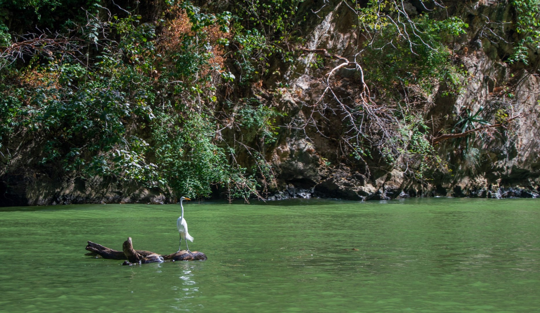 Canon del Sumidero rondreis chiapas en oaxaca