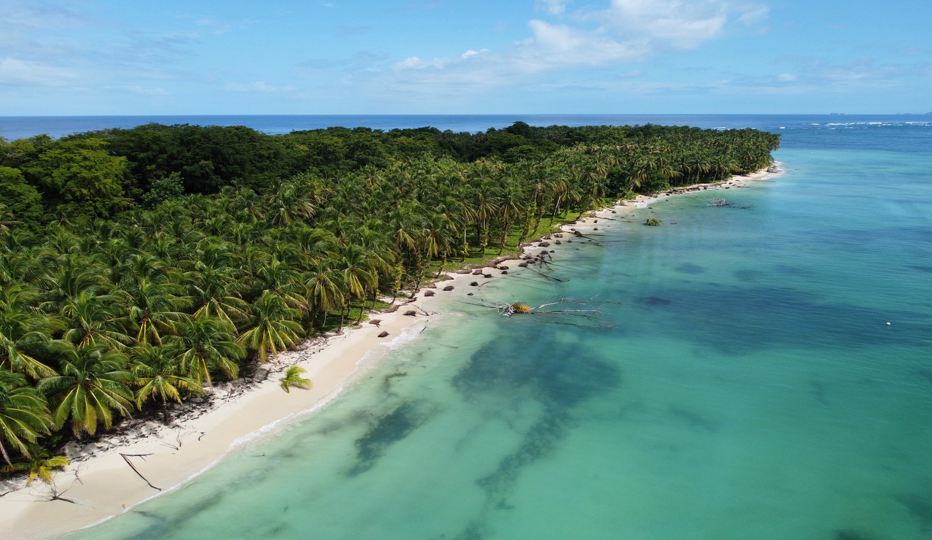 Cayos Zapatilla Bocas del toro