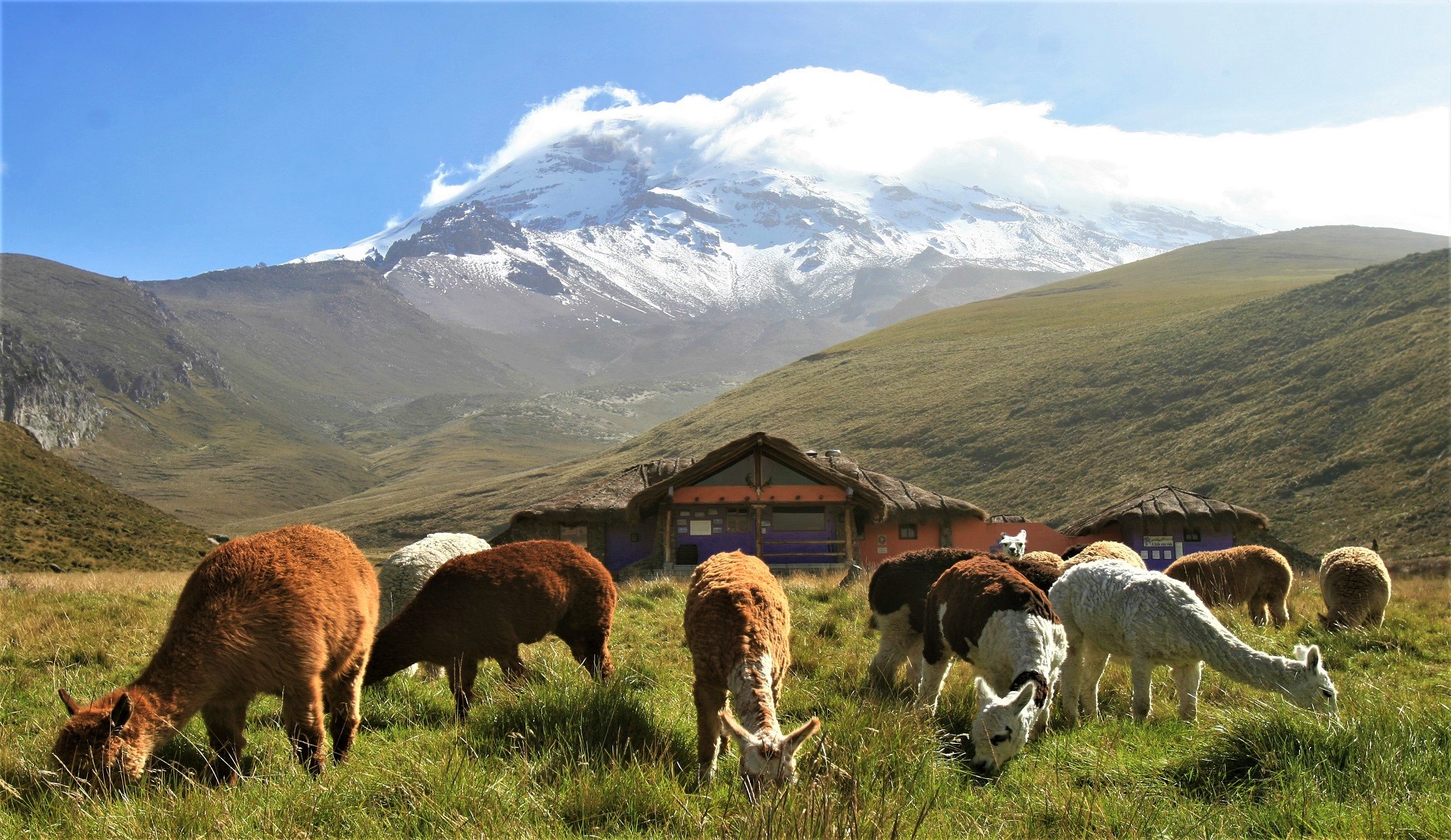 Ecuador en Galapagos | 20 dagen Eilandhoppen & Amazone