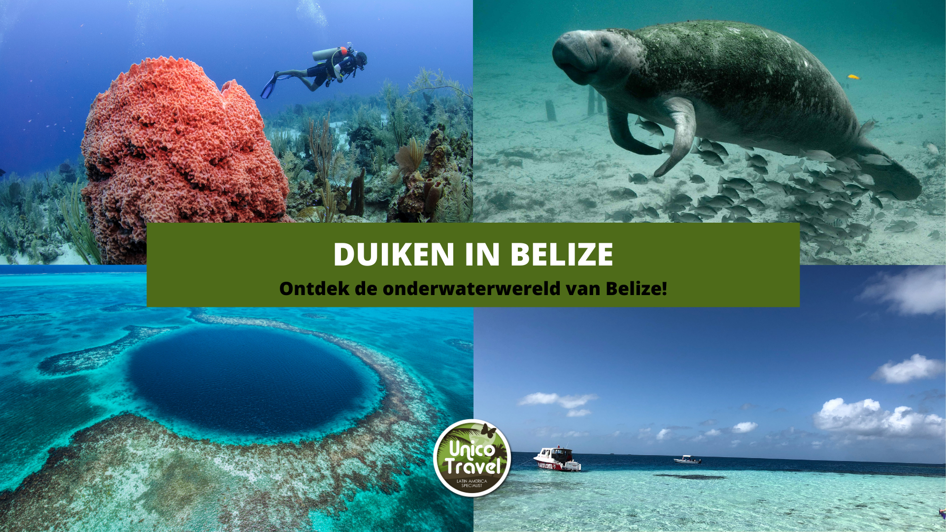 Duiken in Belize