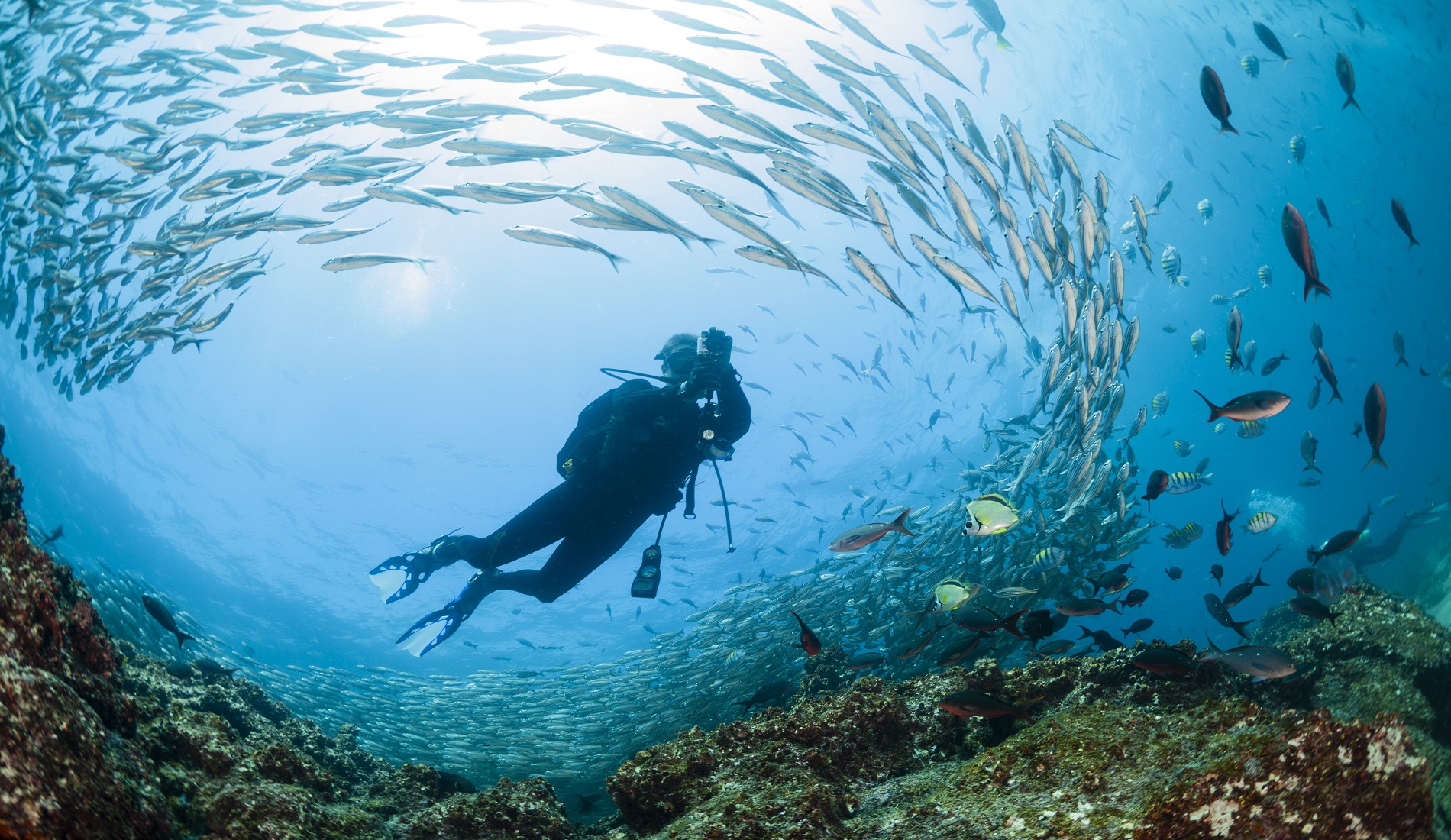 Duikreis Galapagos eilanden