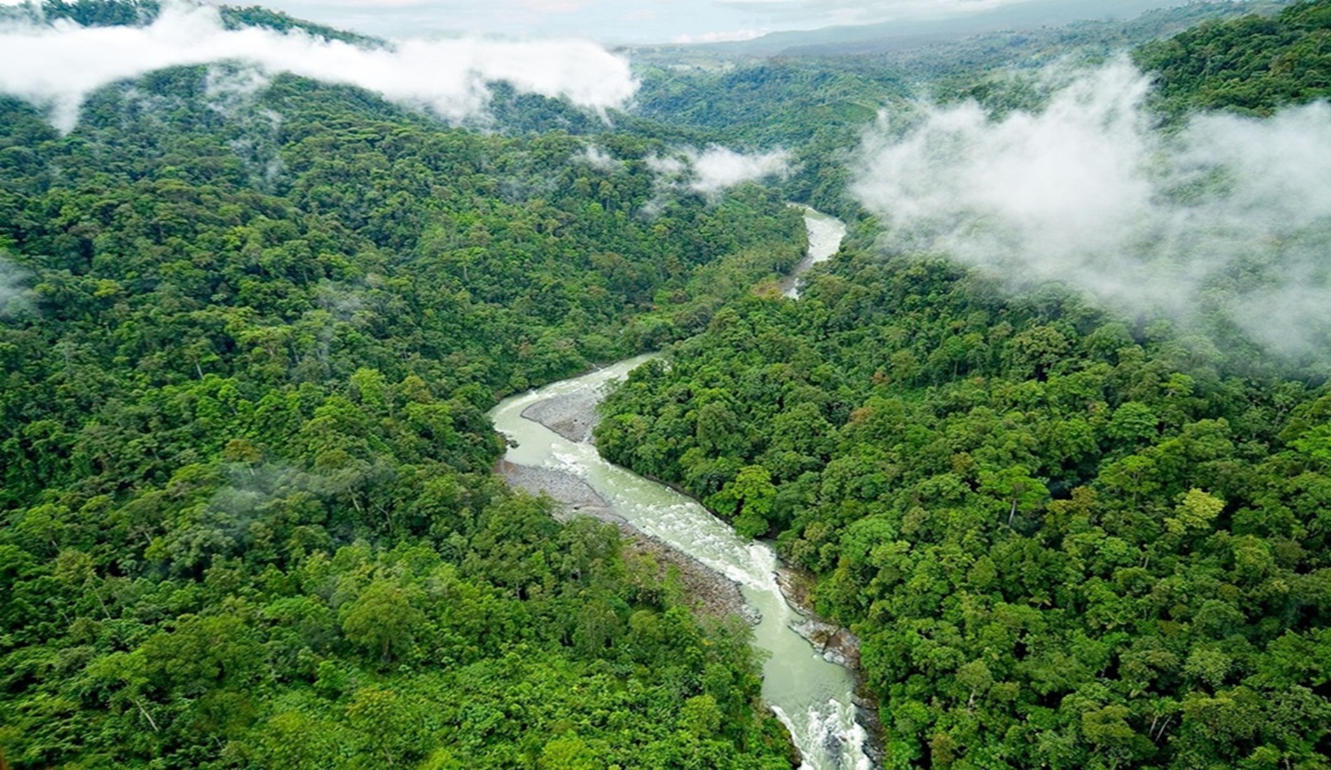 Duurzaam reizen Costa Rica Pacuare Rivier