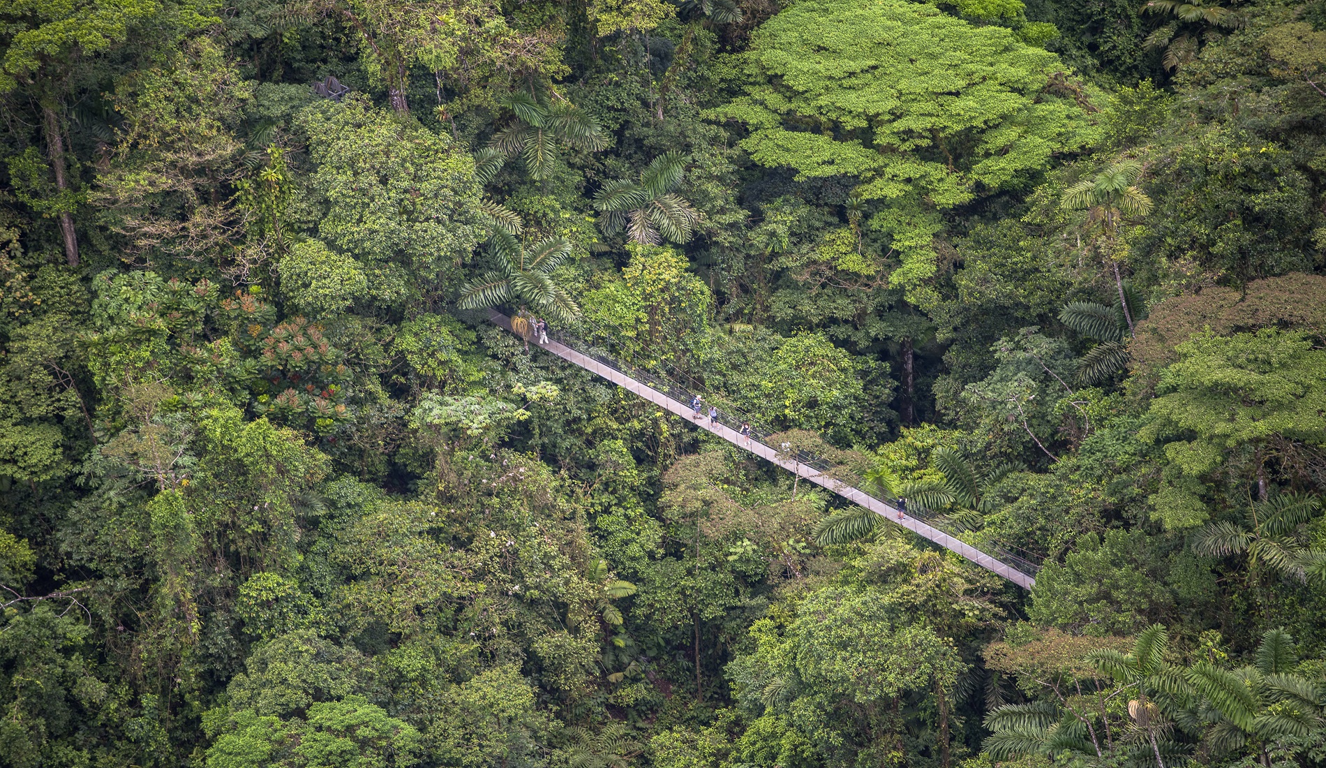 Duurzaam reizen Costa Rica hanging bridges