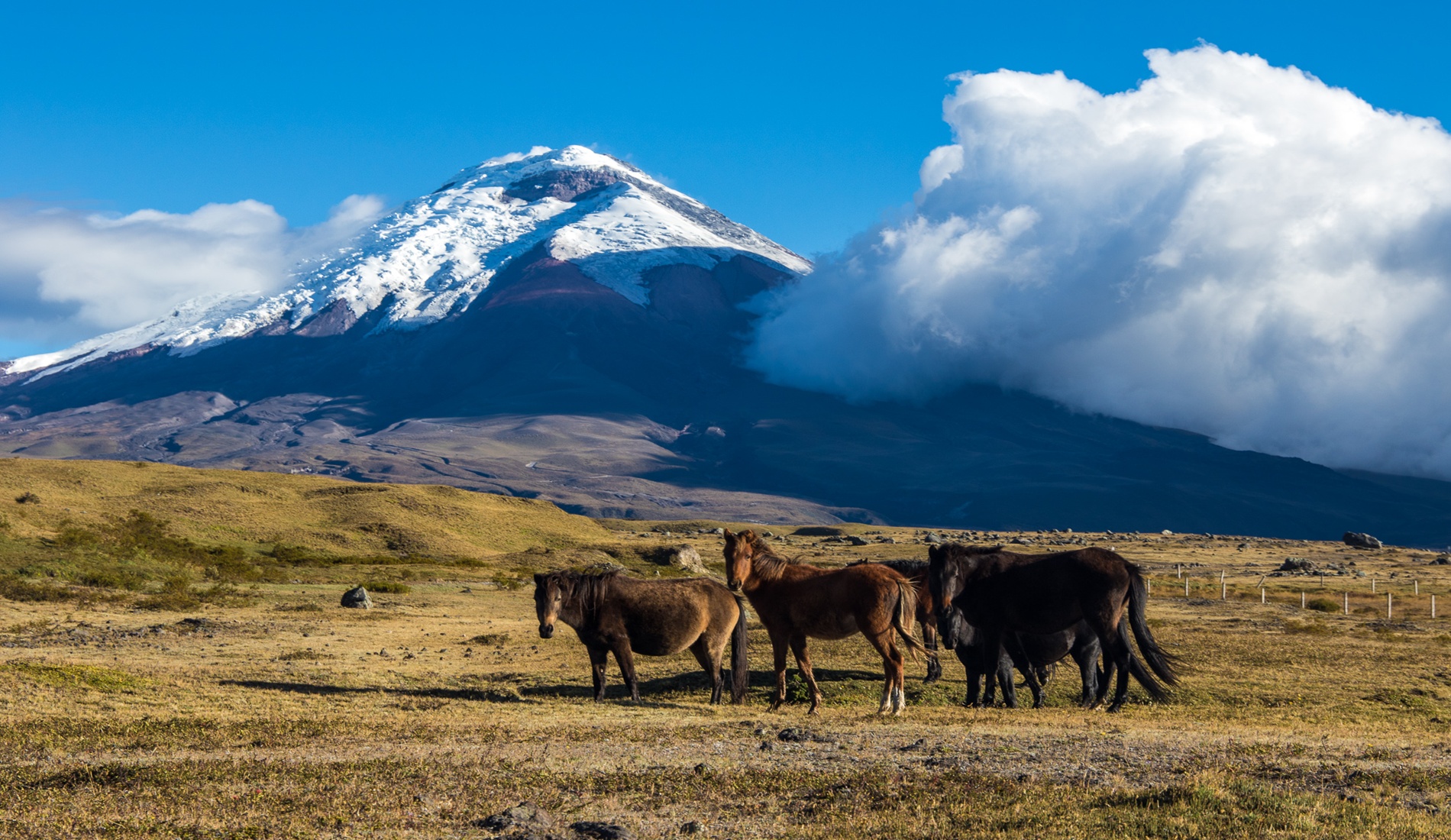 Ecuador Cotopaxi