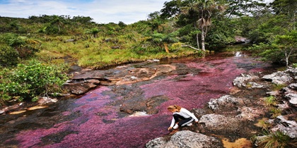 Familiereis Colombia