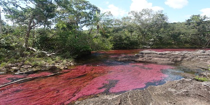Fotoreis Colombia Cano Cristales fotoreizen