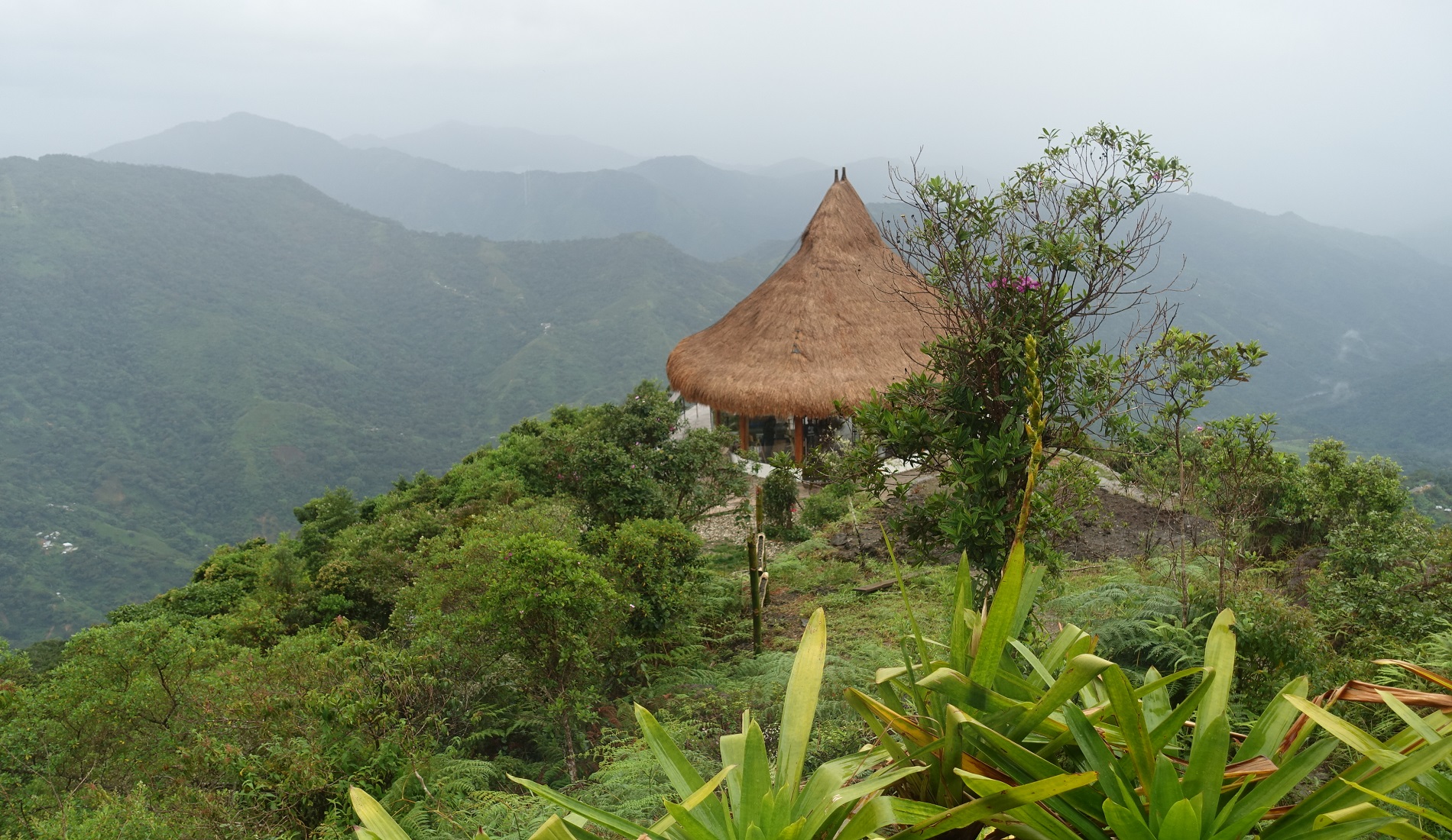 Fotoreis Colombia el dorado