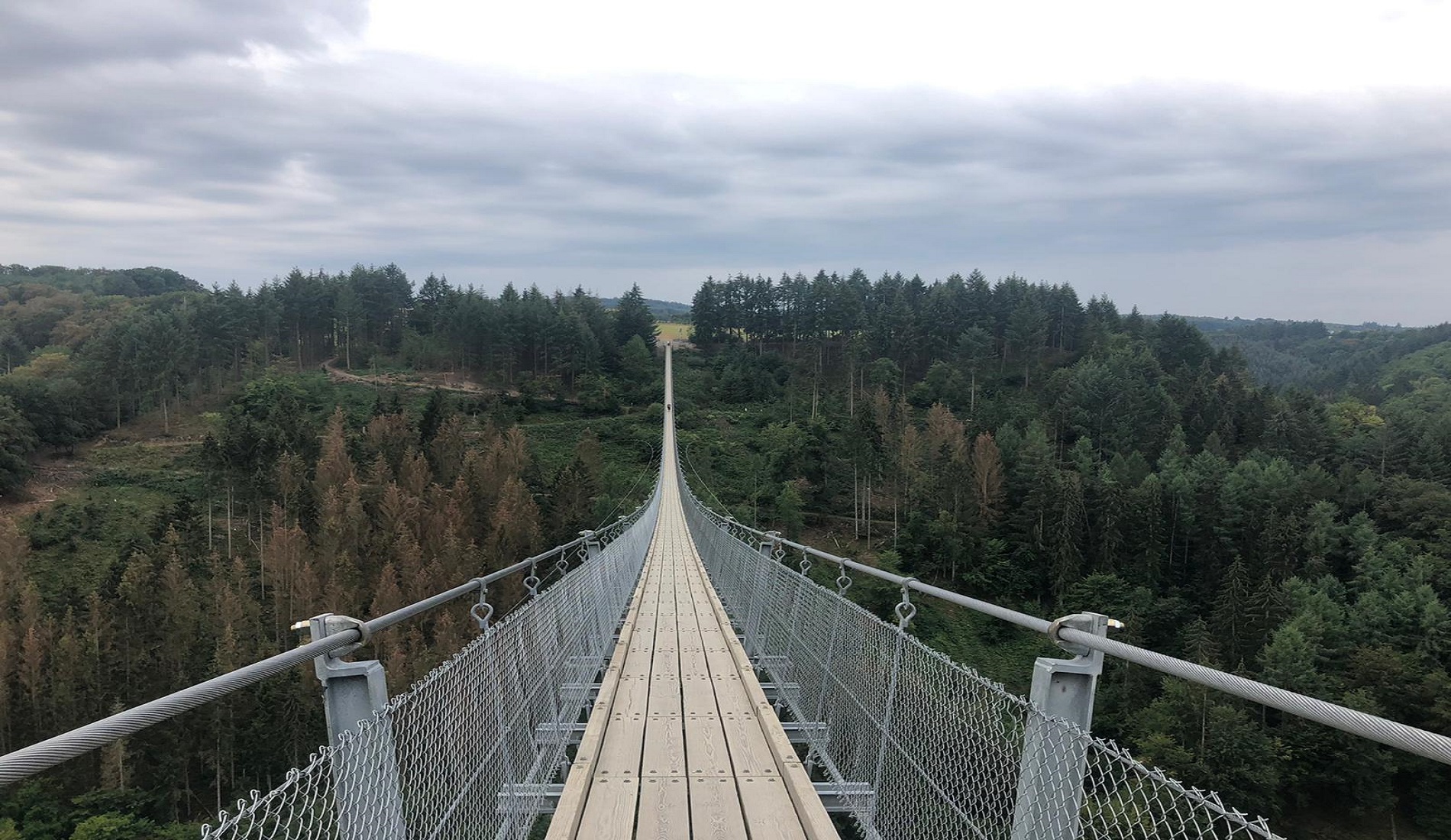 Geierlay Hangingbridge