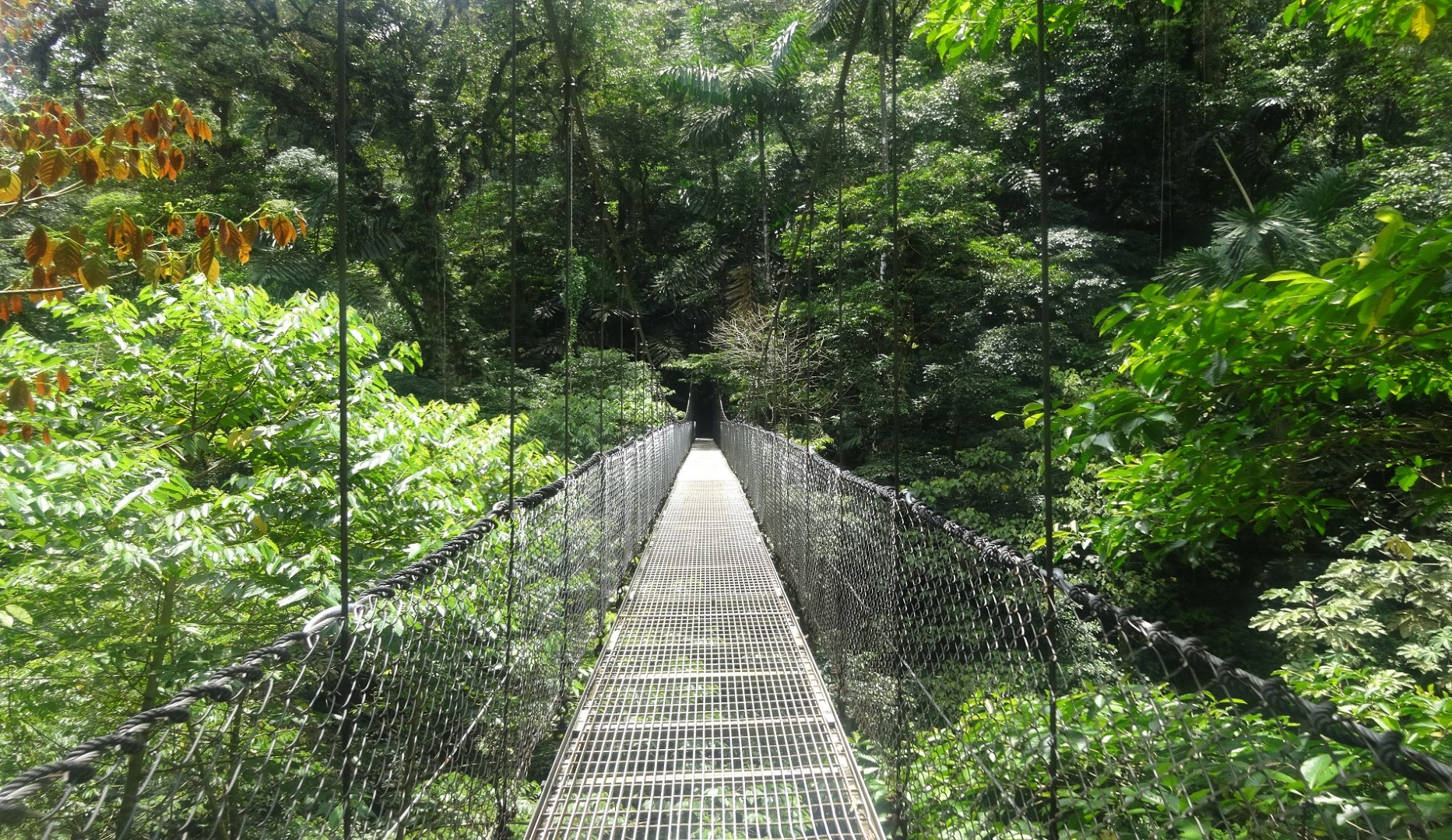 Hangbrug Arenal