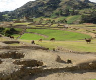 Ingapirca Ecuador