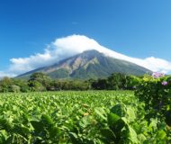 Isla de Ometepe