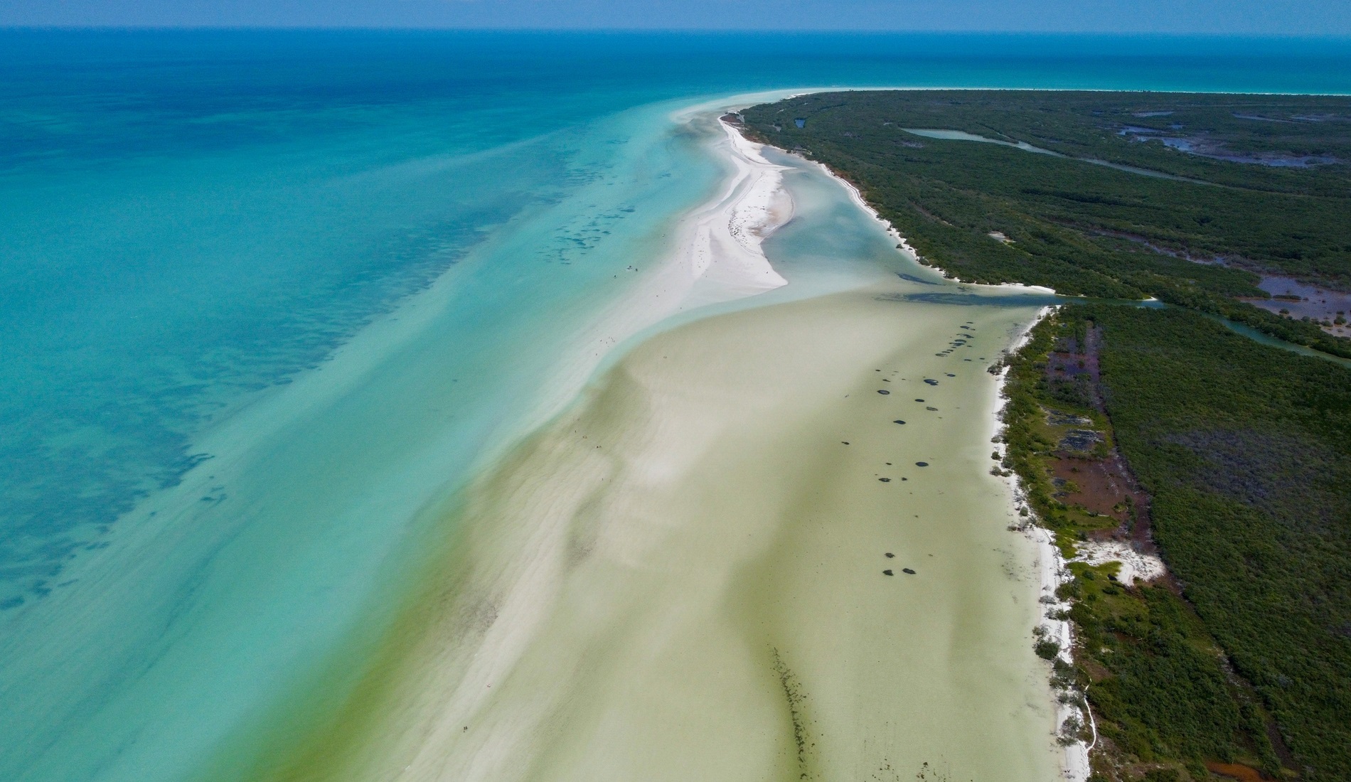 Isla holbox mexico hoogtepunten