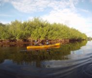 Bahía de Jiquilisco