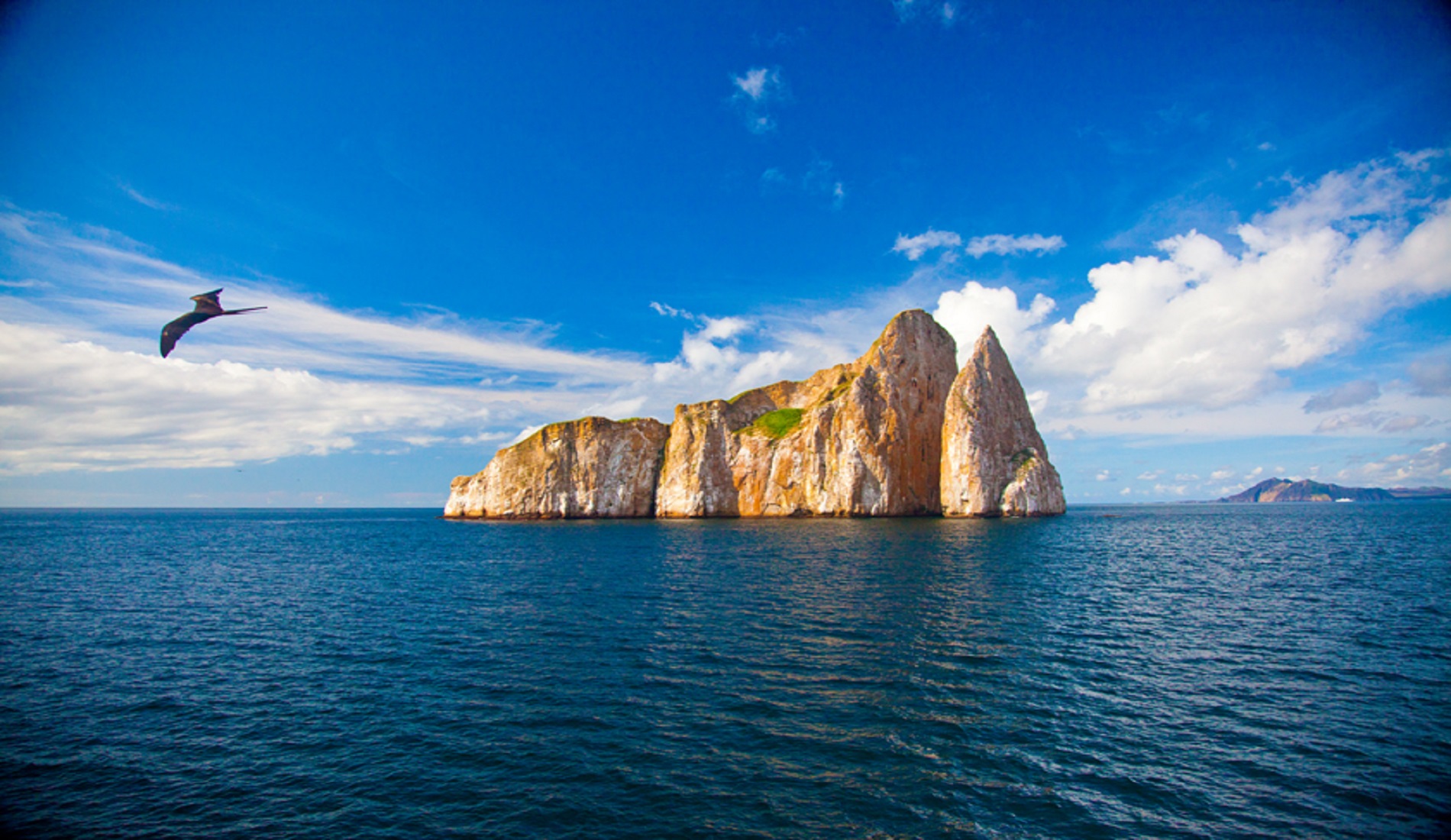 Kicker Rock duikreis Galapagos eilanden