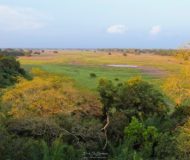 Landschap van de Pantanal