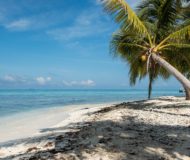 Laughing Bird Caye