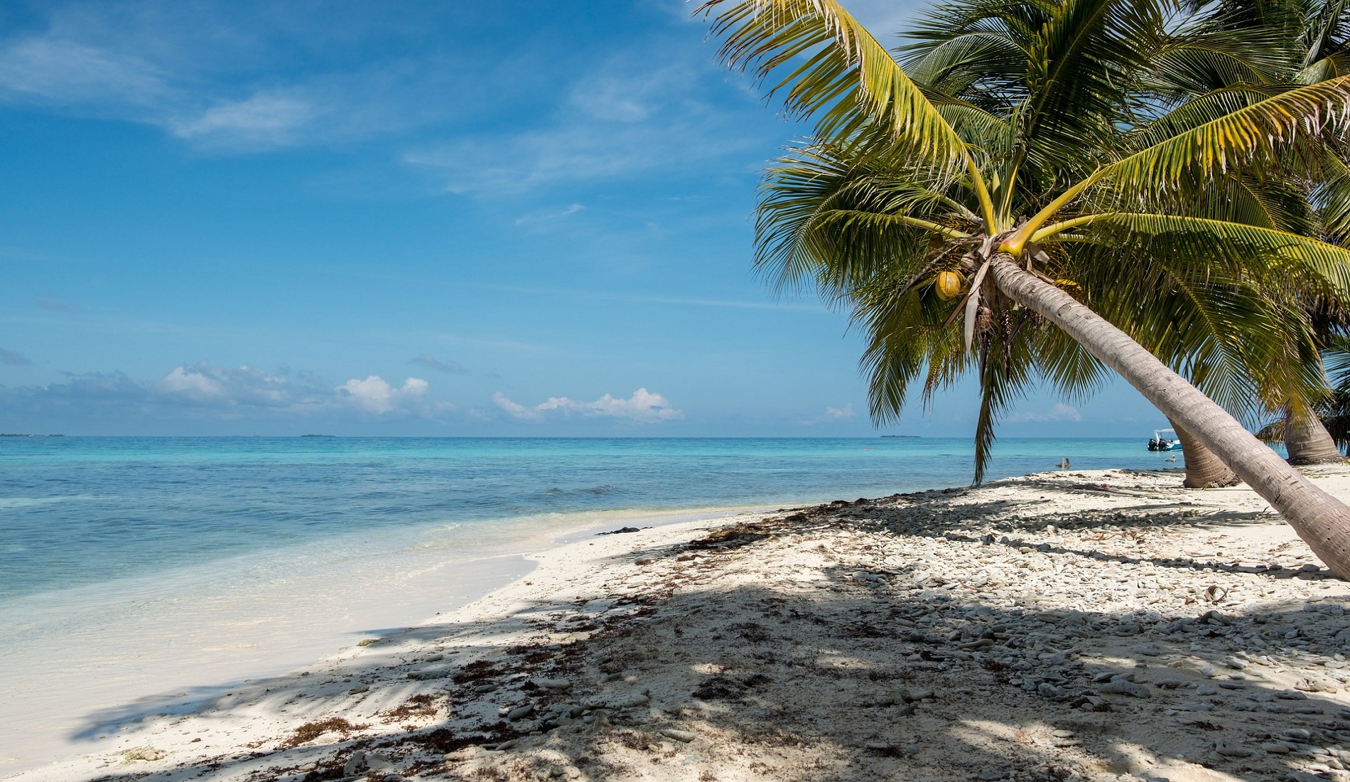 Laughing Bird Caye Belize reis