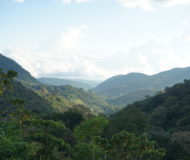 Mount Totumas Cloud Forest