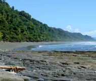 Nationaal Park Corcovado