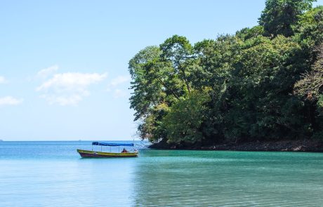 Natuurreis Panama Boca Chica