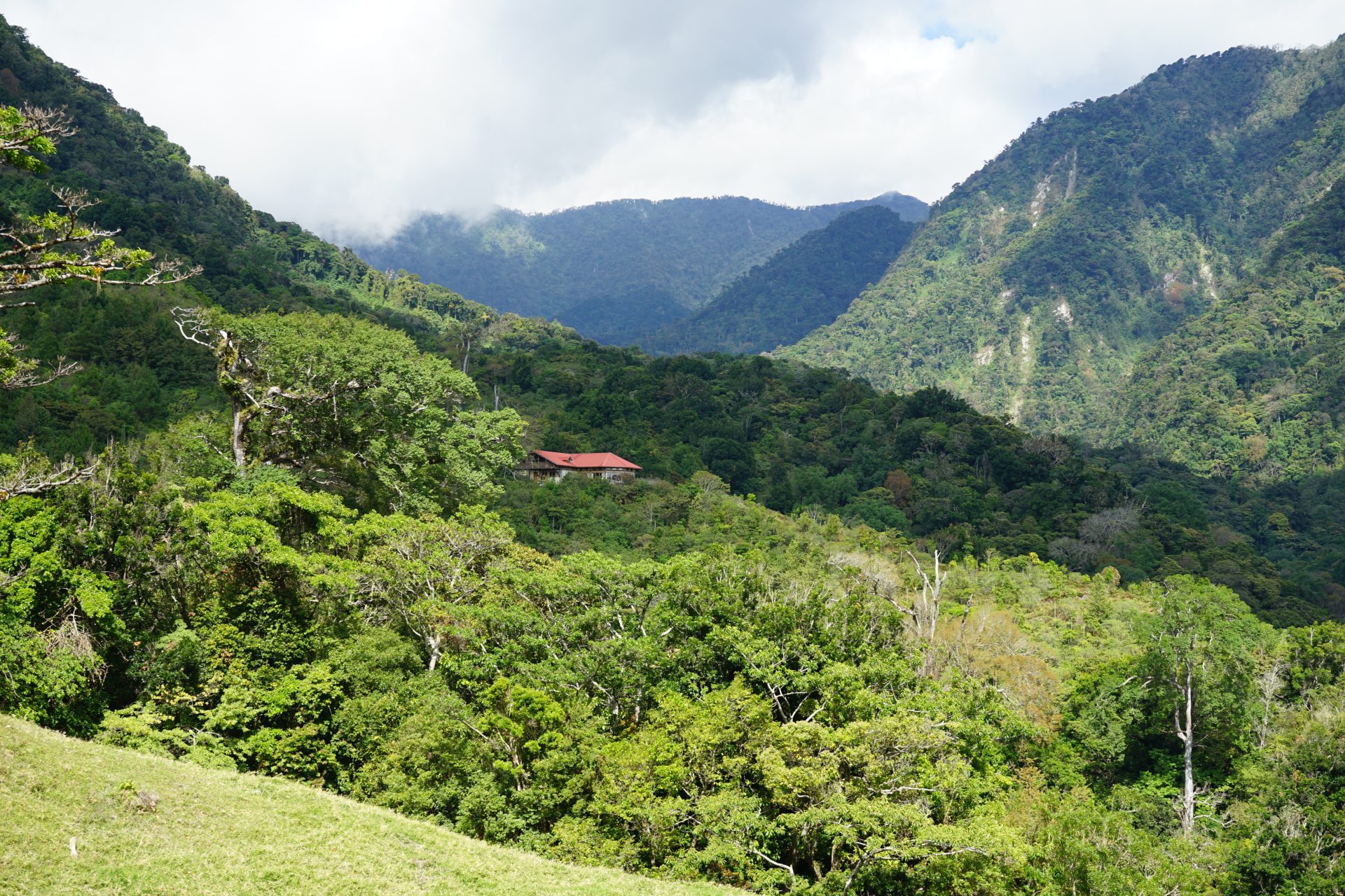 Natuurreis Panama Mount Totumas