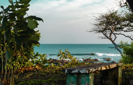 Natuurreis Panama Pedasí