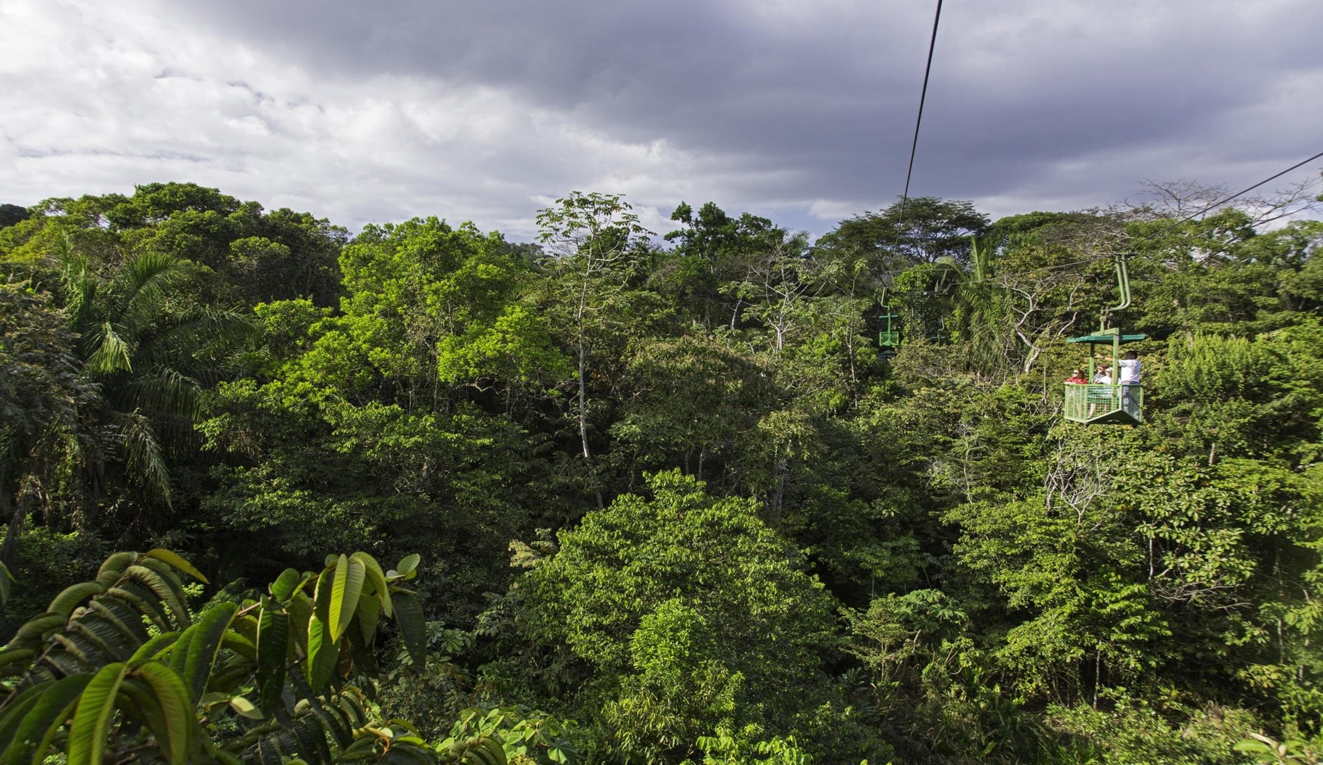Natuurreis Panama Soberannia