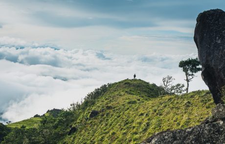 Natuurreis Panama Boquete Unsplash