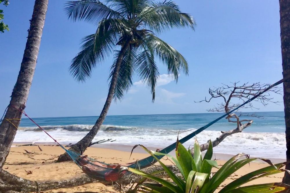 Panama 3