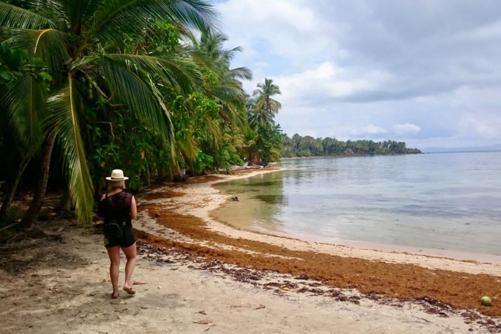 Bocas del Toro