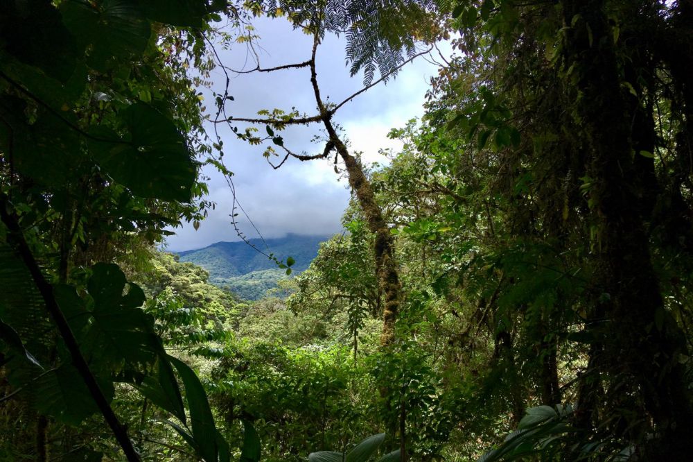 Panama 5