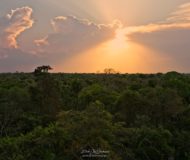 Landschap Pantanal