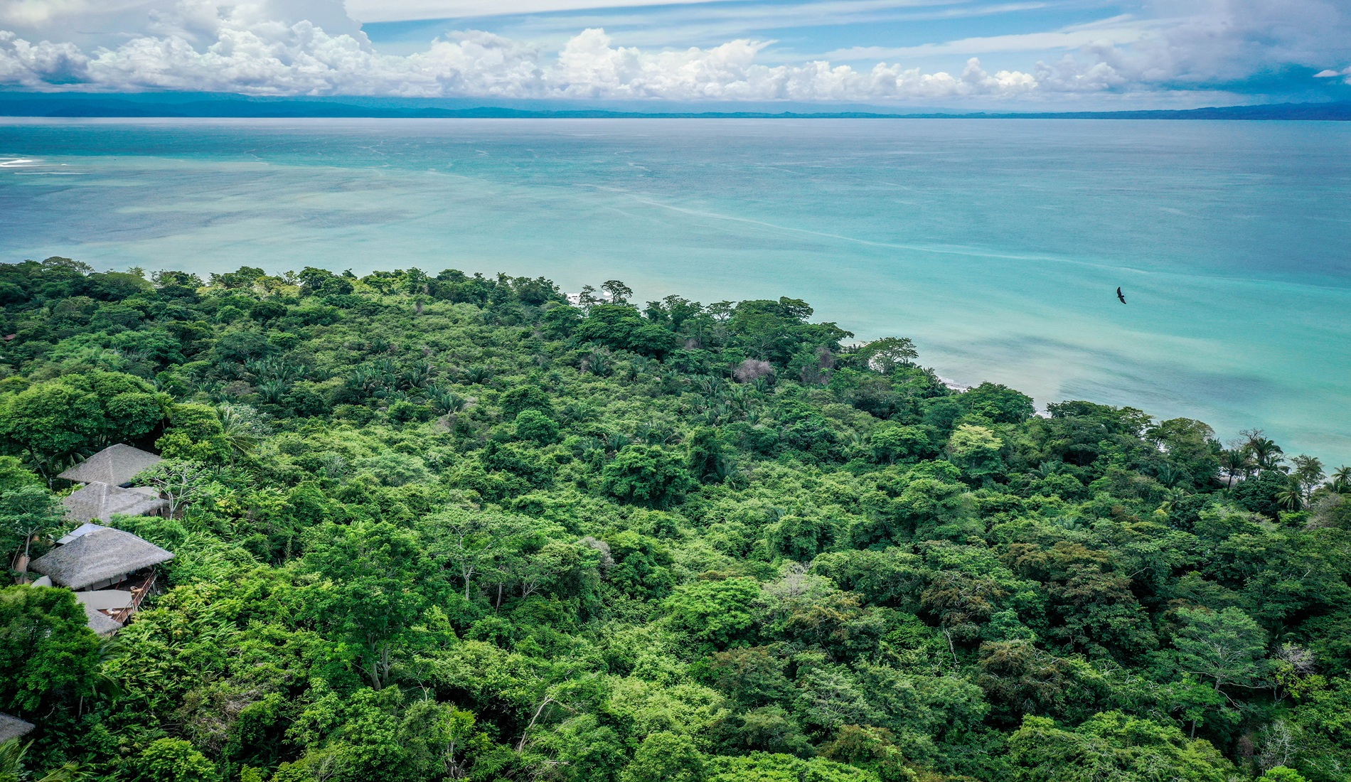 Rondreis Panama & Costa Rica Cabo Matapalo