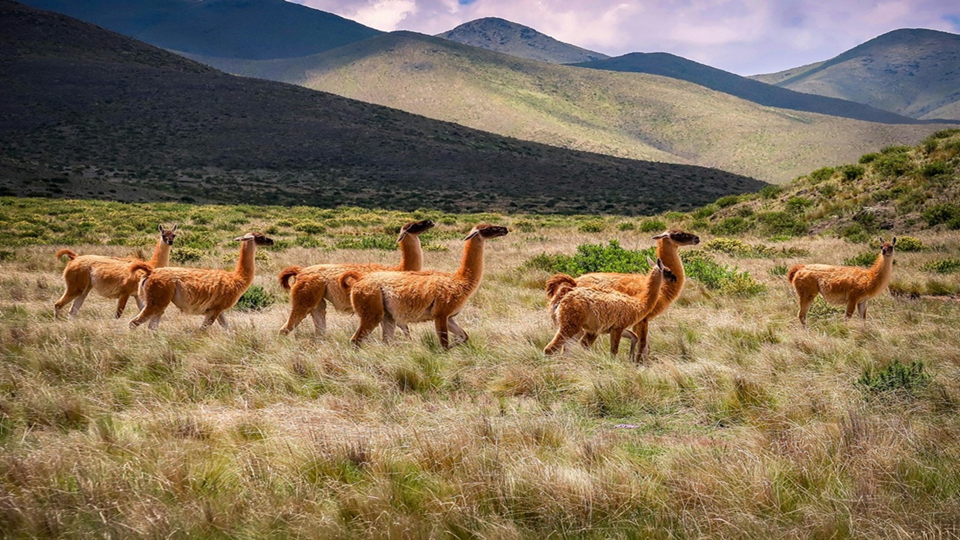 Salta Argentinië