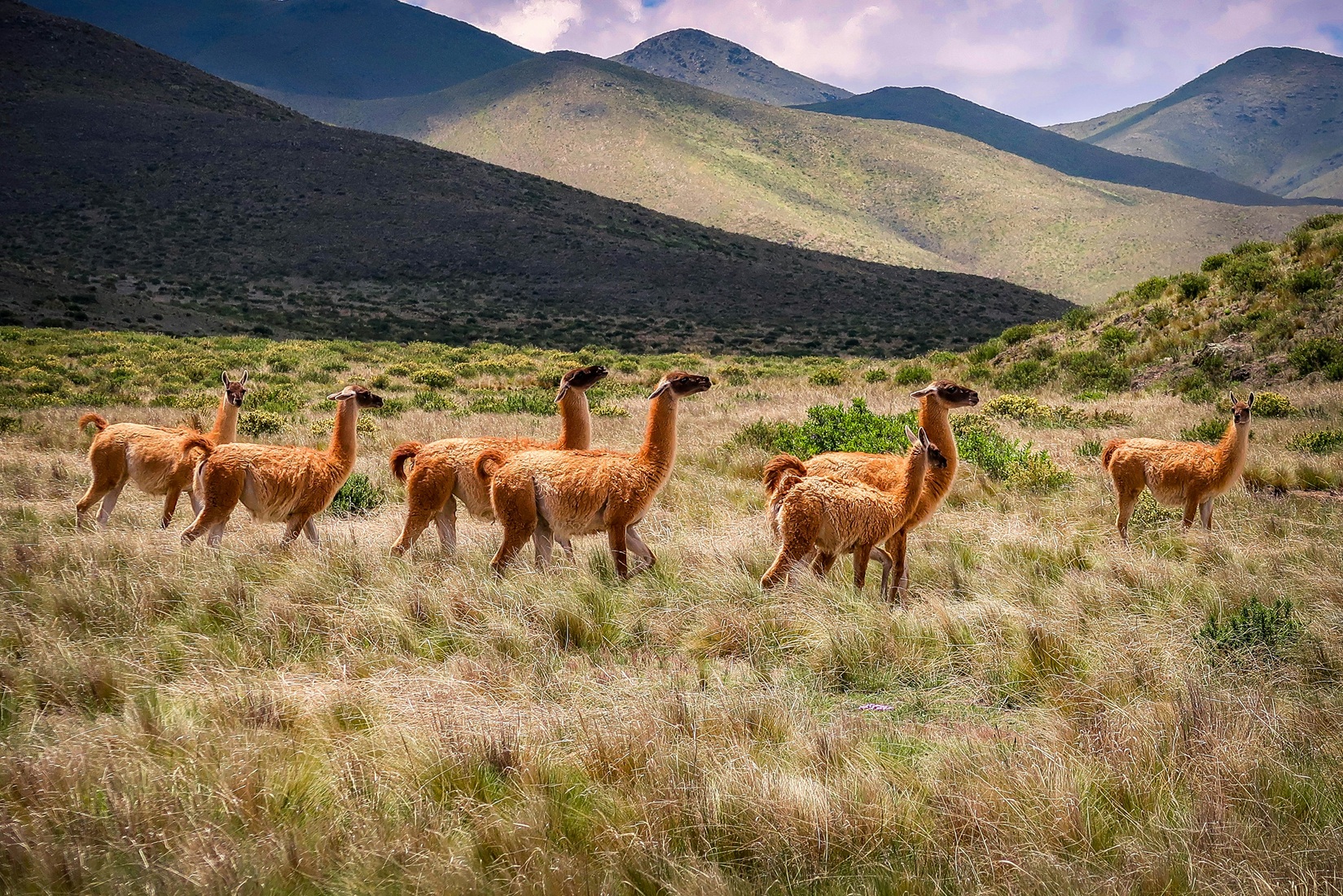 Salta Argentinië
