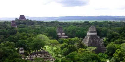 Tikal guatemala - Fotoreis Guatemala & Belize