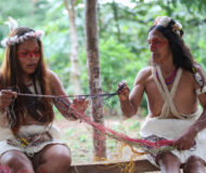 Amazone culturen