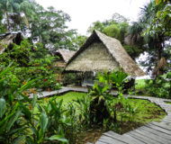 Amazone (fotocredits ProColombia)