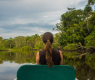 Amazone kano