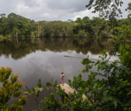 Amazone regenwoud Ecuador