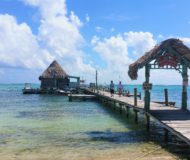 Ambergris Caye