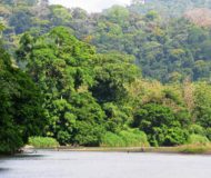 Boca Tapada