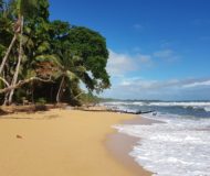 Bocas del Toro