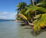 Bocas del Toro