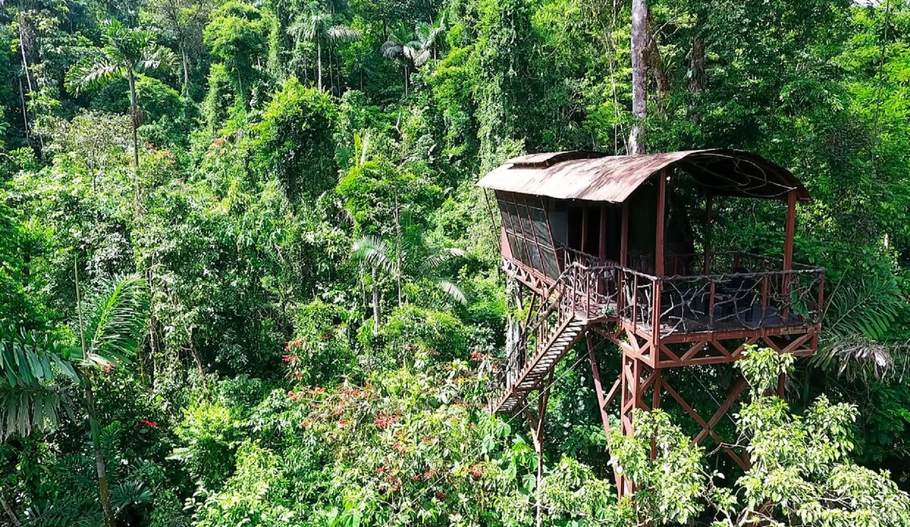 boomhut boca tapada selfdrive costa rica autorondreis costa rica