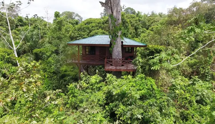 boomhut costa rica 1